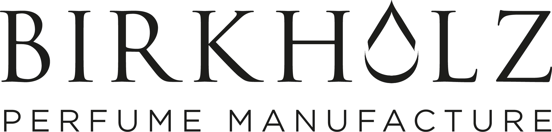 Birkholz_Logo_400_x_200 (1)